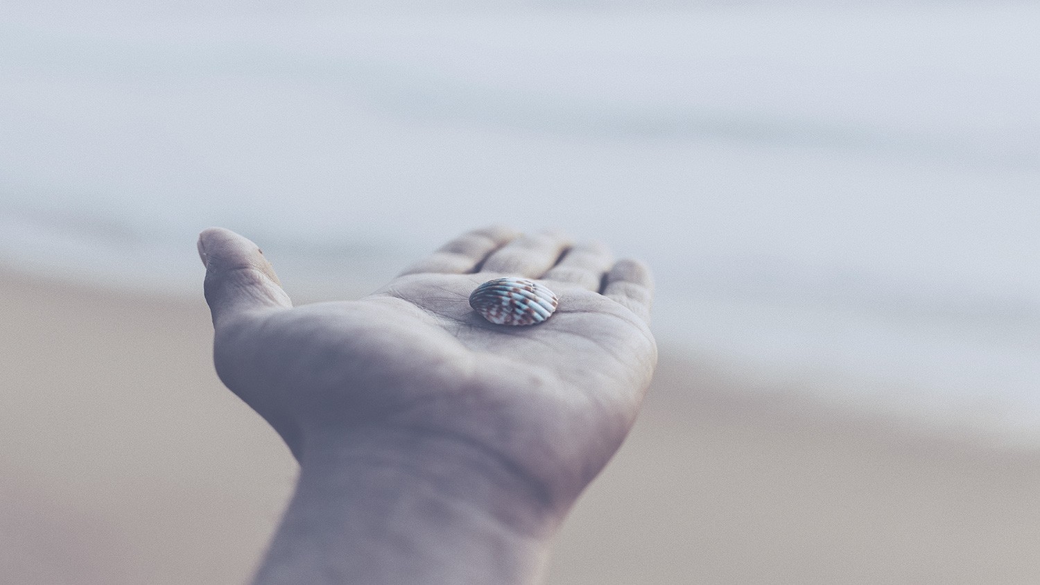 Herencias, testamentos - la legítima